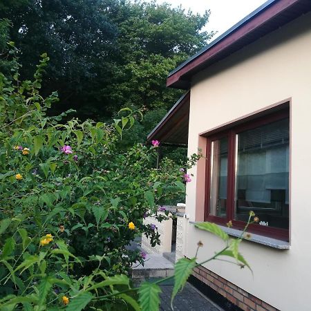 Ferienhaus Am Wald Loissin Εξωτερικό φωτογραφία
